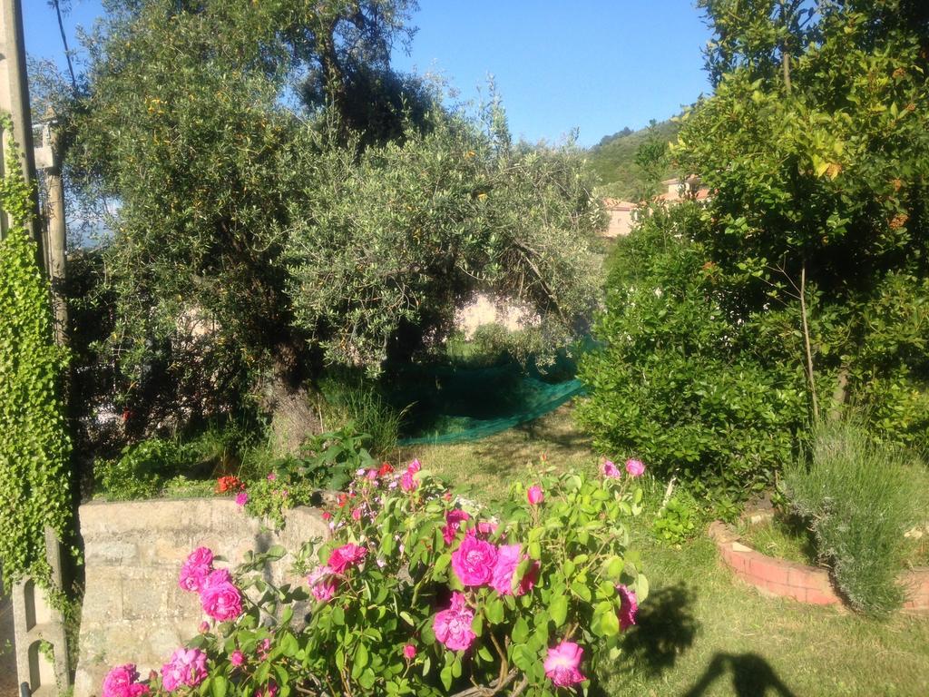 Hotel Les Calanques Piana  Room photo